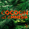 Cocoon