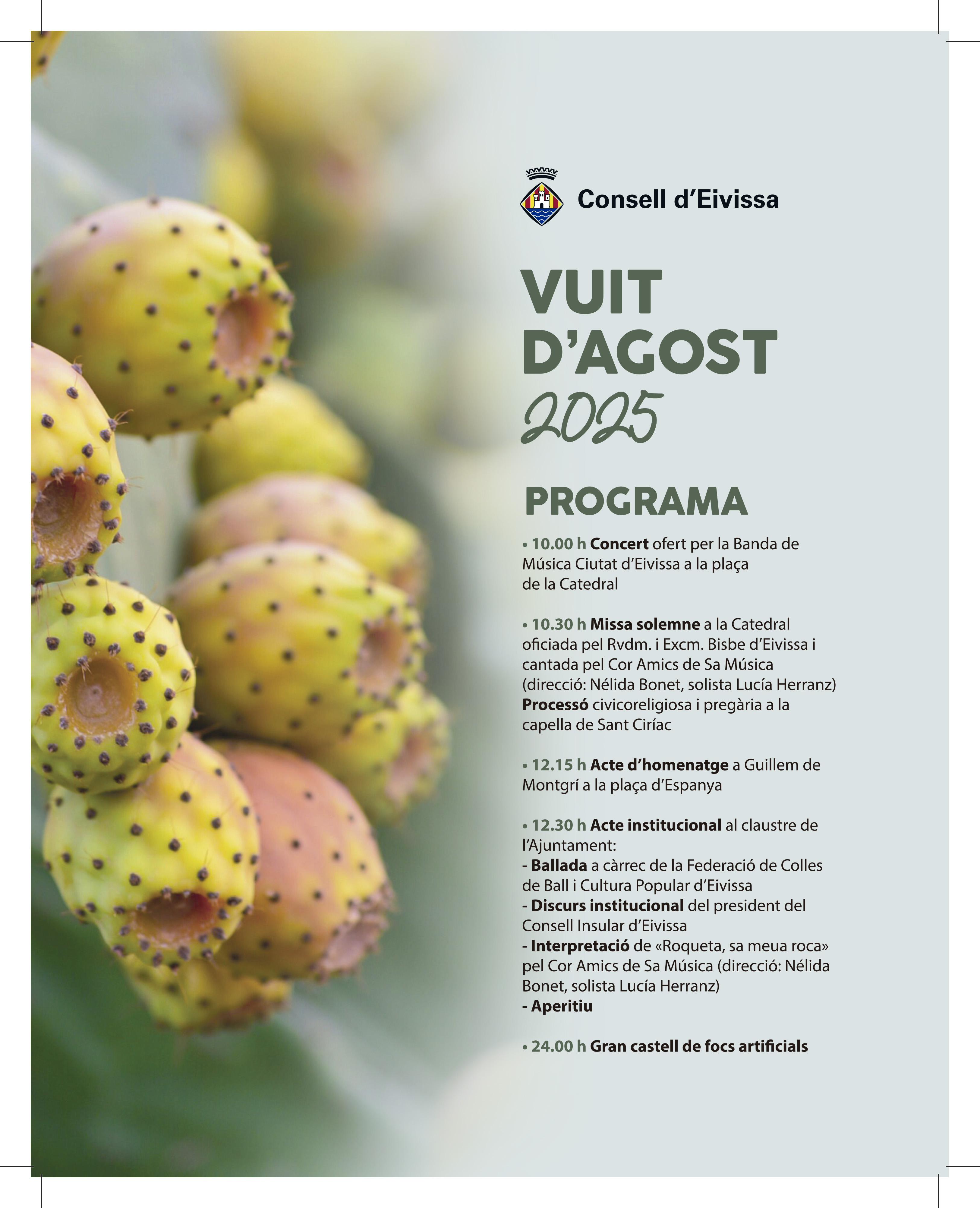 2025 programme
