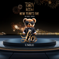 Toy Room presents New Year's Eve